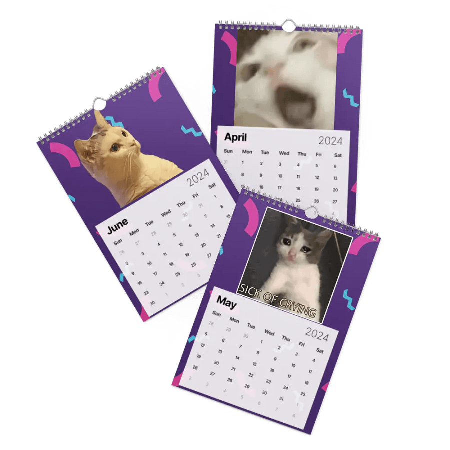 Wall Calendar (2024): Meme Cats product image (3)