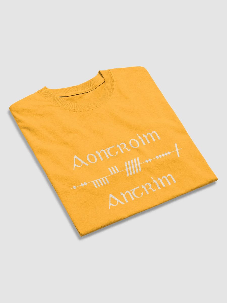 Antrim/Aontroim Scholastic style Ogham Saffron Printed T-shirt product image (3)