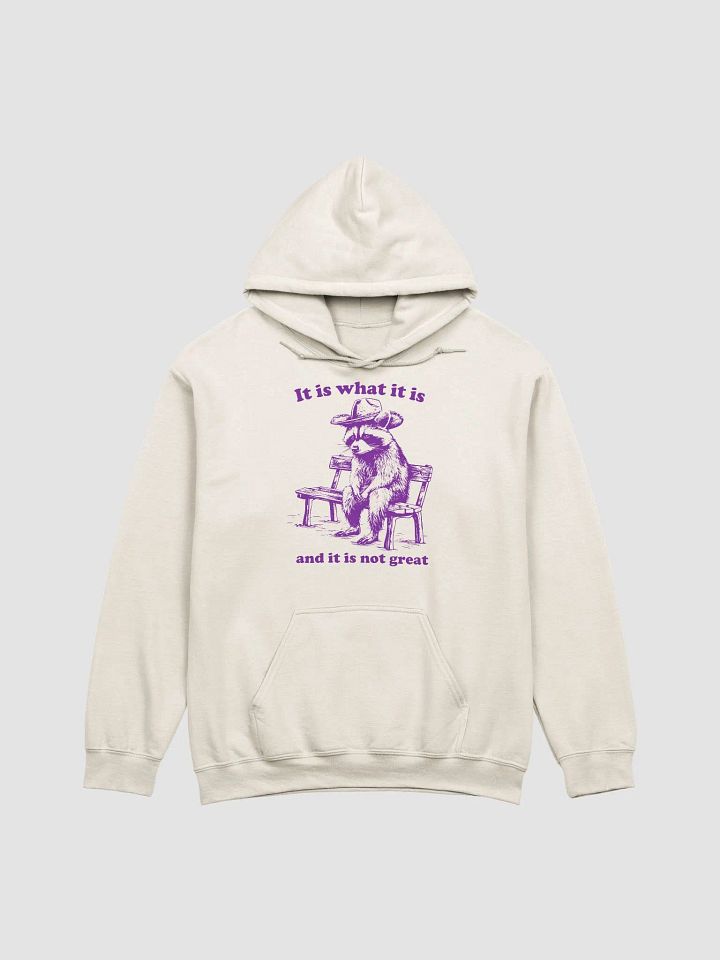 It is what it is Hoodie product image (1)