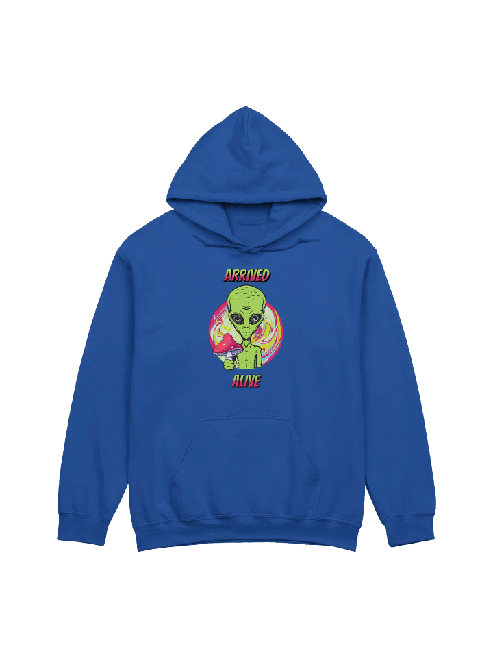ARRIVED ALIVE ALIEN HOODIE product image (1)