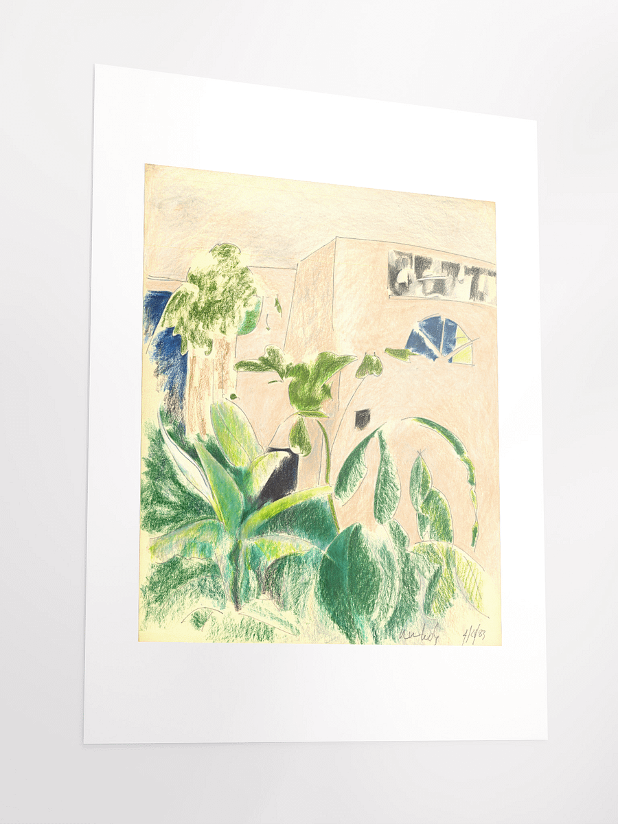 Plants & Windows (1010 home) 04.20.83 print product image (4)