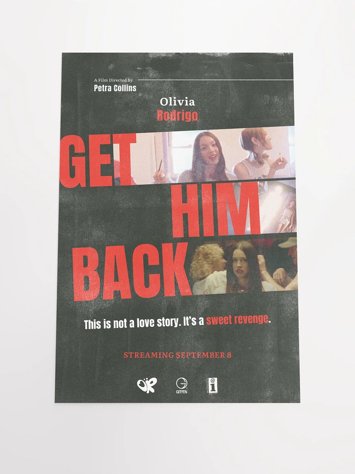 get him back! Poster product image (1)