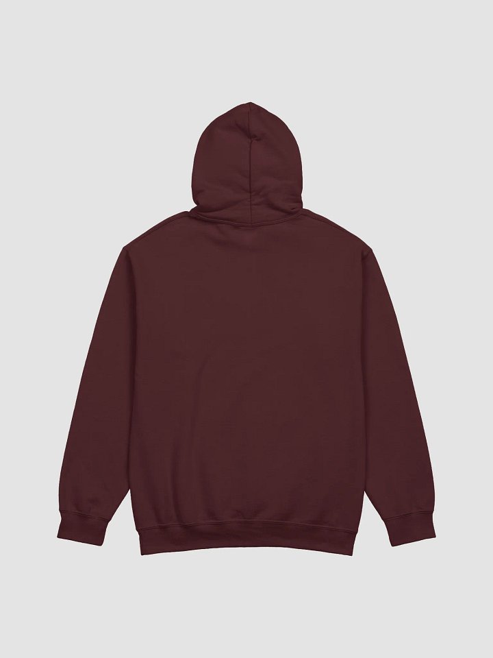 Cat Lady Chic Hoodie product image (14)