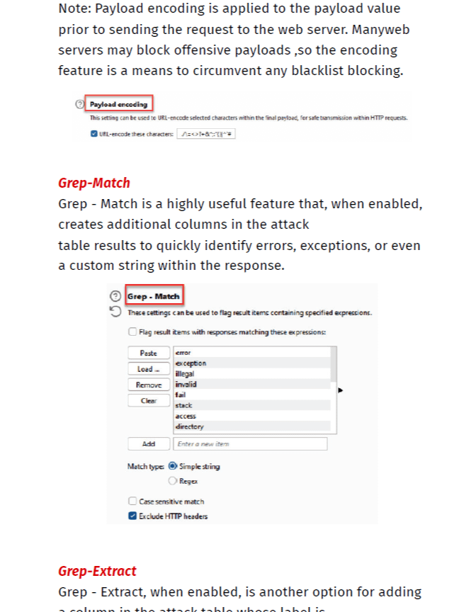 Burp Suite Practical Notes product image (3)