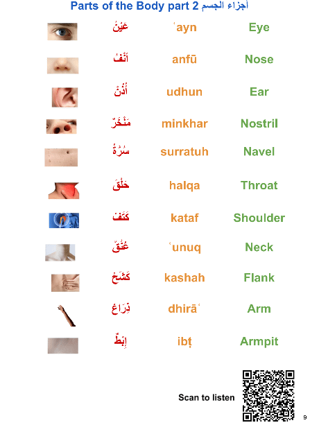 Minrabic ebook product image (2)