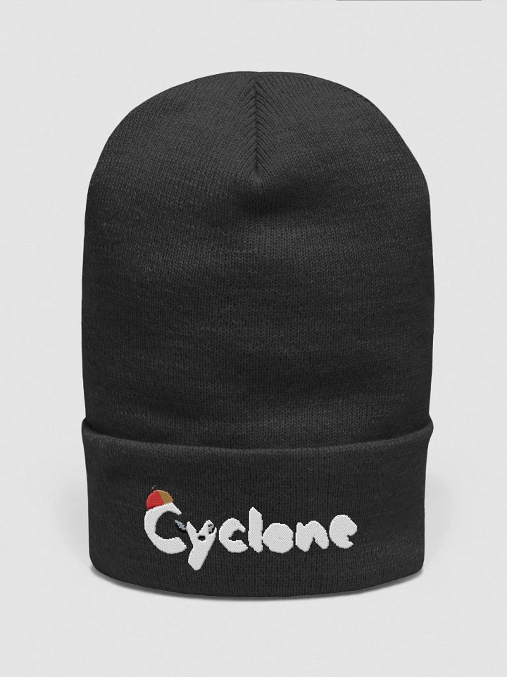 Festive Vibes Embroidered Beanie product image (1)
