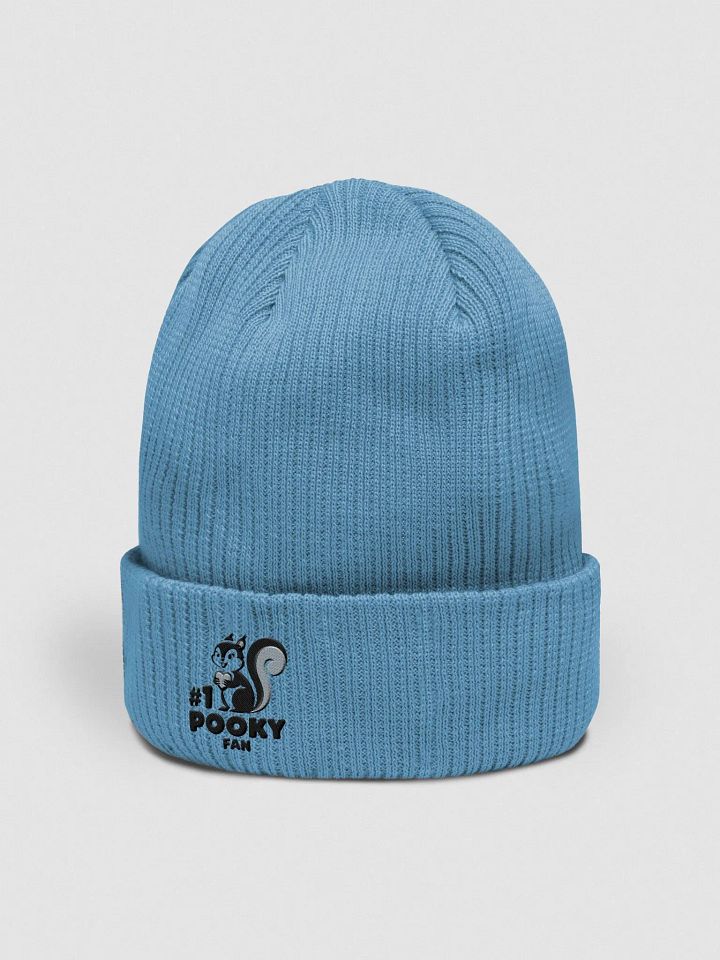 Organic Cotton Embroidered Beanie: #1 Pooky Fan 20s illustration style product image (2)