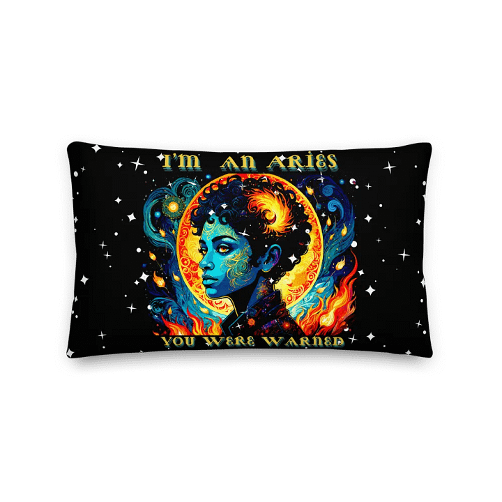 Aries 2025, You Were Warned, Black Pillow product image (2)