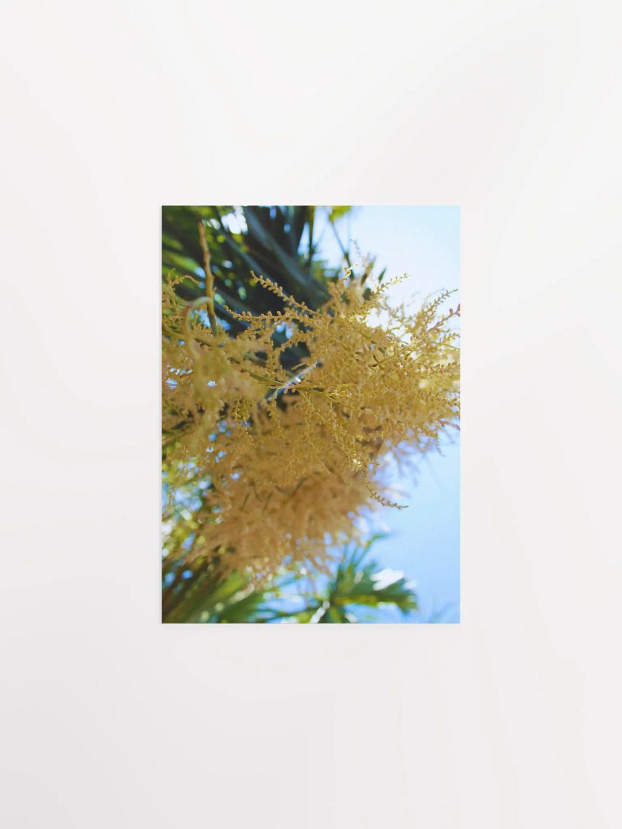 To Be Tiny product image (4)
