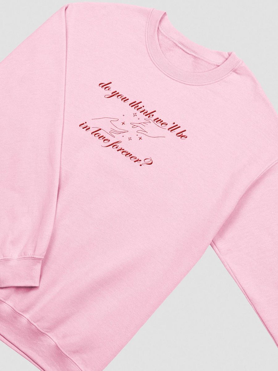 Forever in Love Embroidered Sweatshirt product image (25)