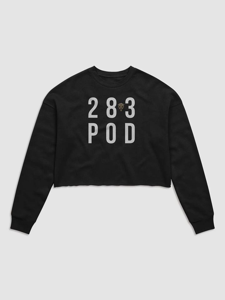 The 28 to 3 Podcast 
