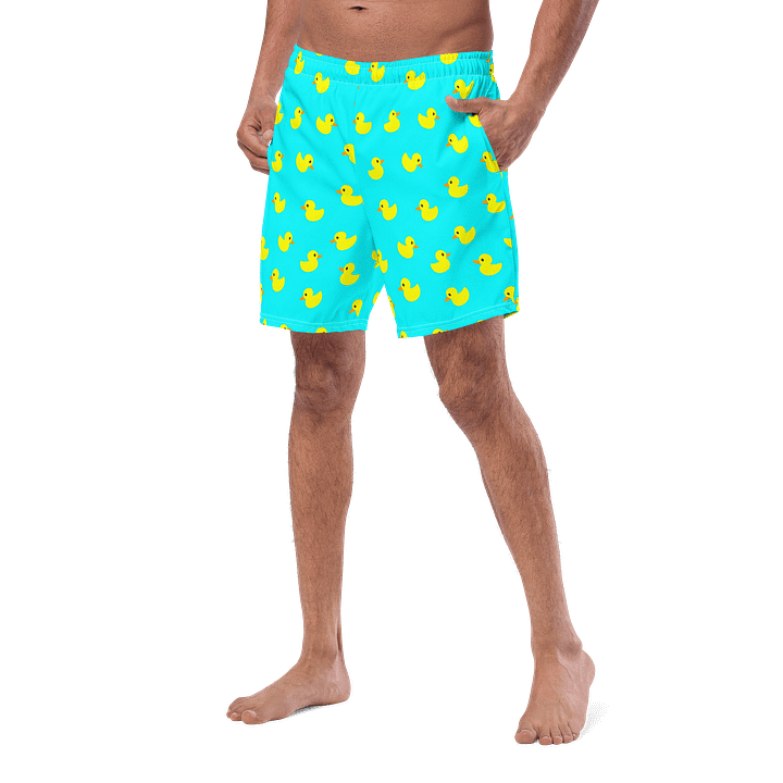 Duck product image (2)
