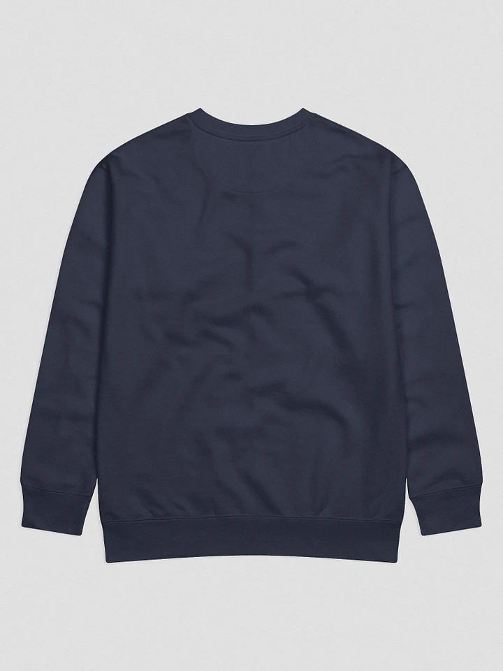 HYENA SWEATSHIRT product image (6)