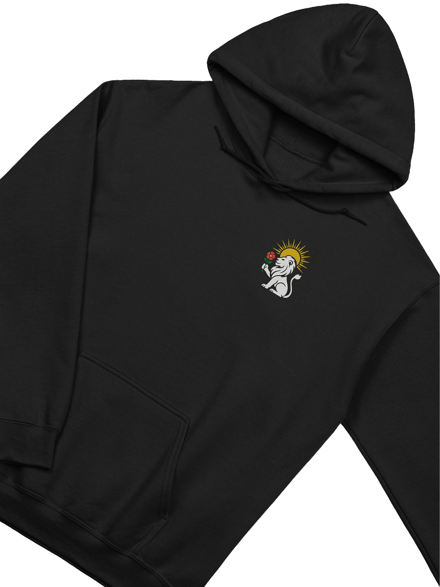 Mehr Wins - Hoodie (Style 5) product image (11)