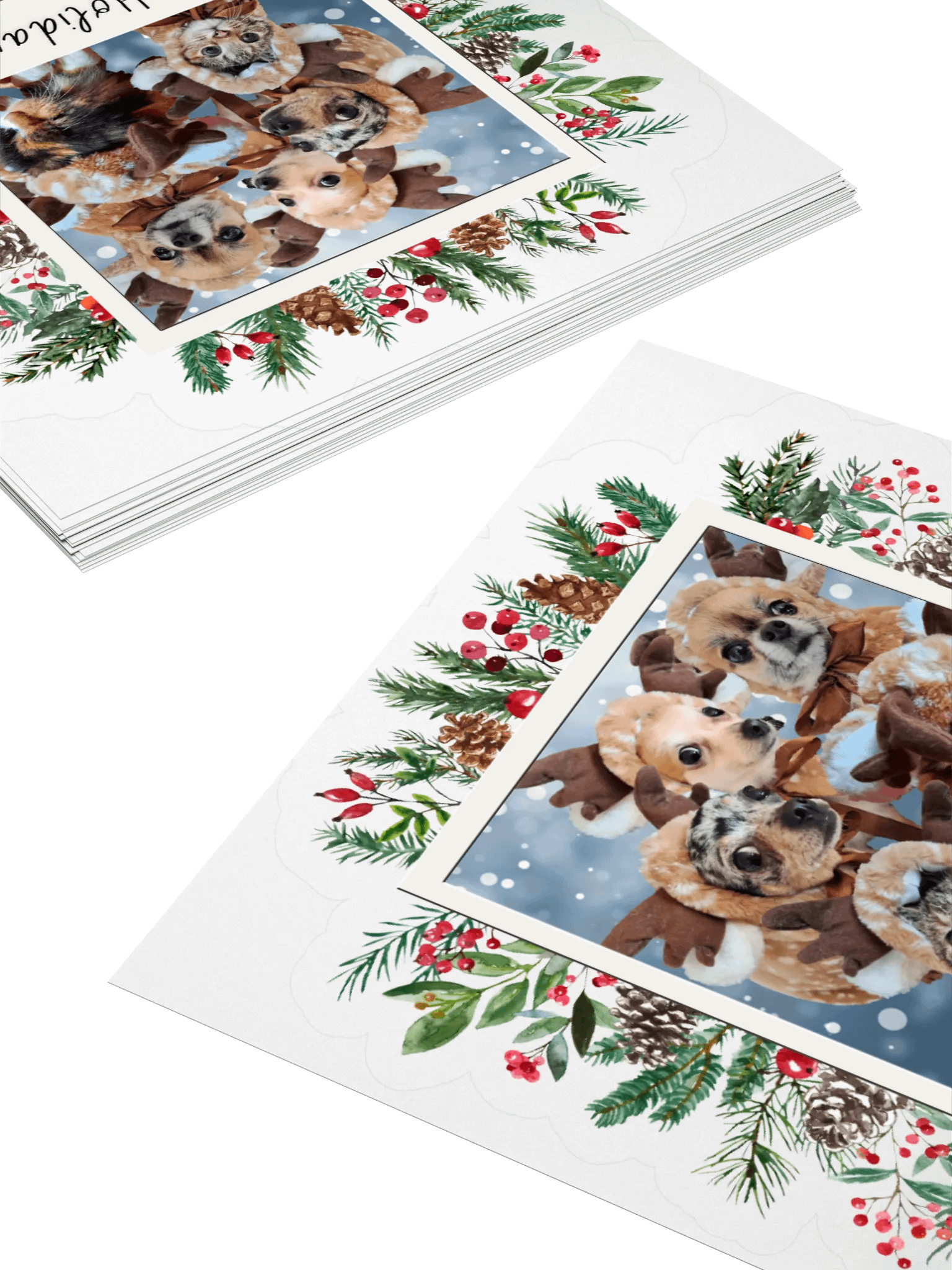 LIMITED EDITION Sticker - Paws [Holidays 2024] product image (4)