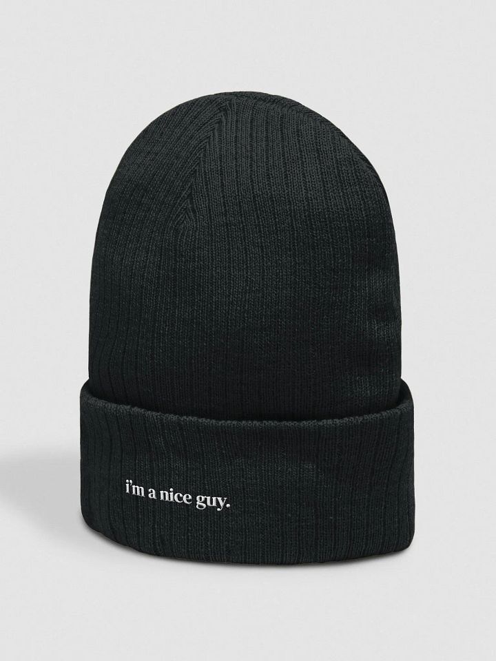 nice guy beanie product image (2)
