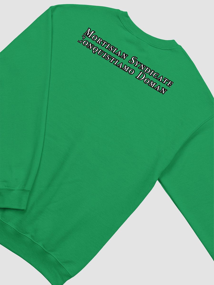 Ferrum Family Sweatshirt product image (20)