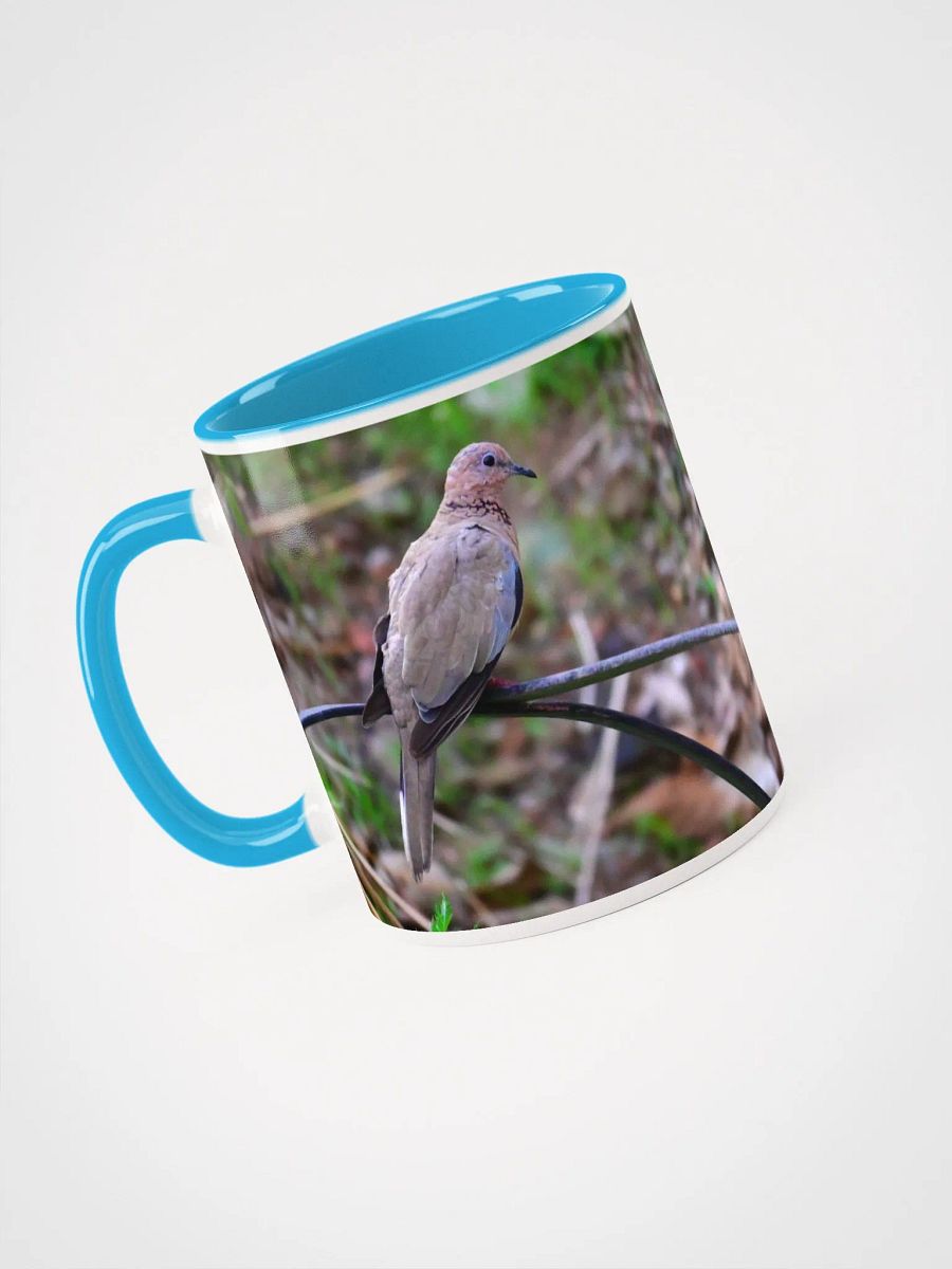 IUCAA Birds MUG product image (3)