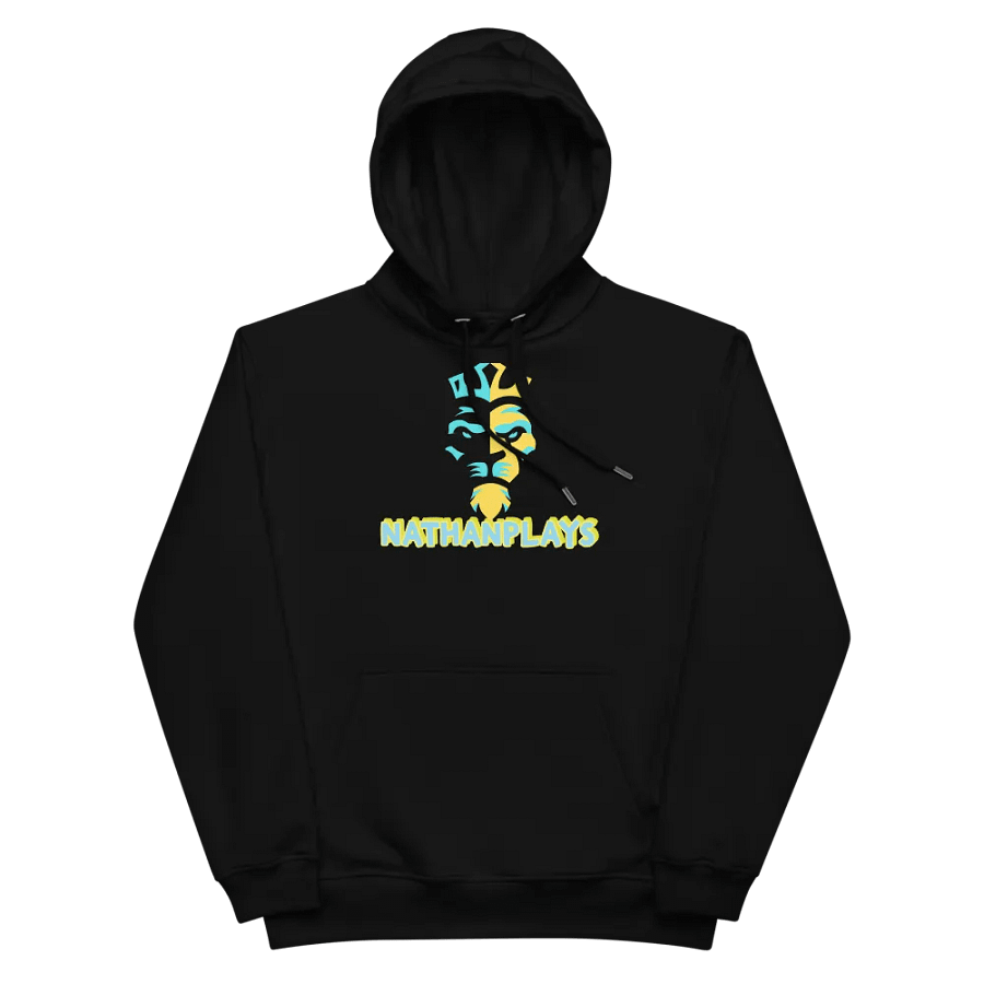 Nathanplays product image (10)