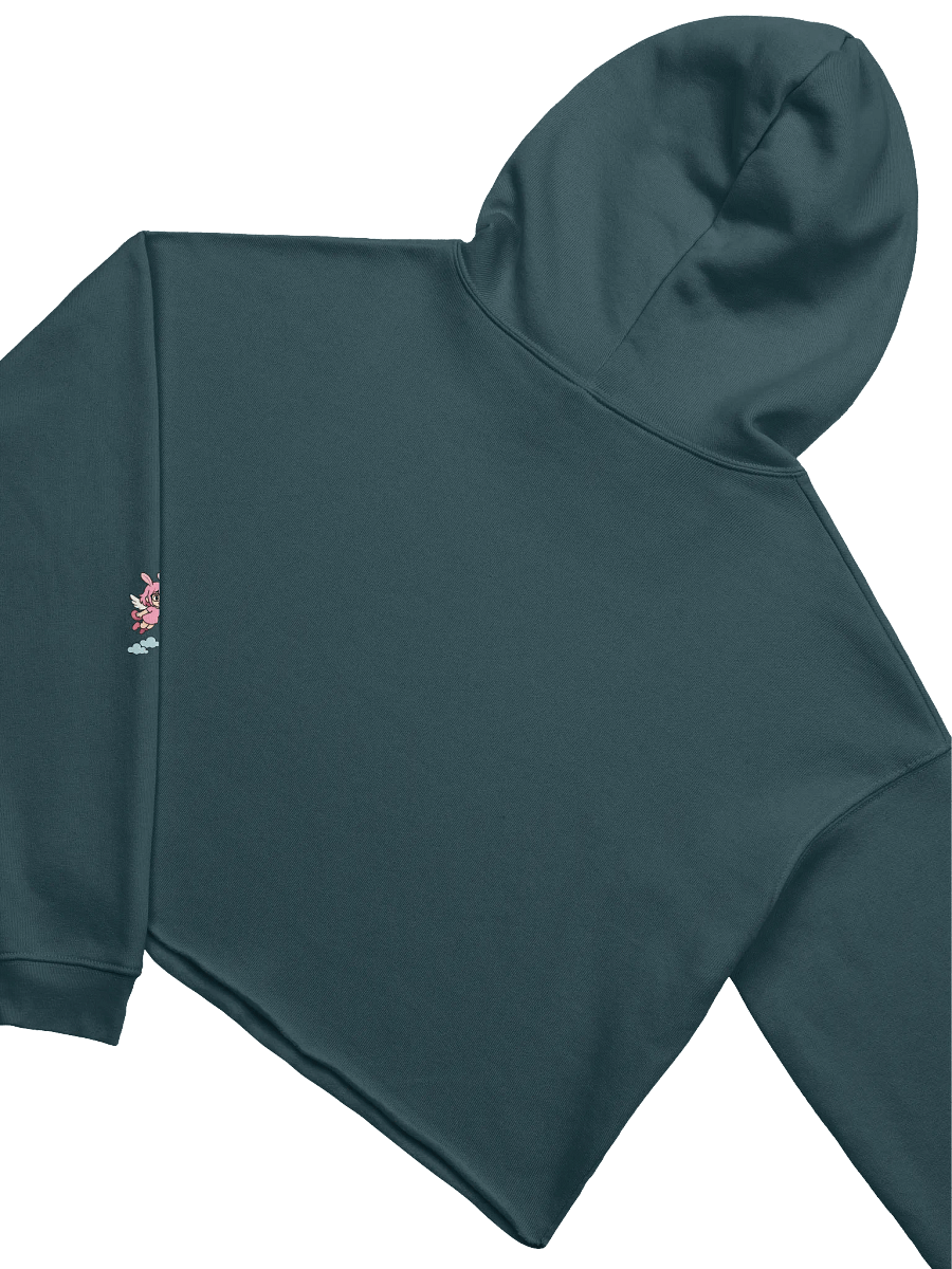 Super K's Club Crop Hoodie product image (4)