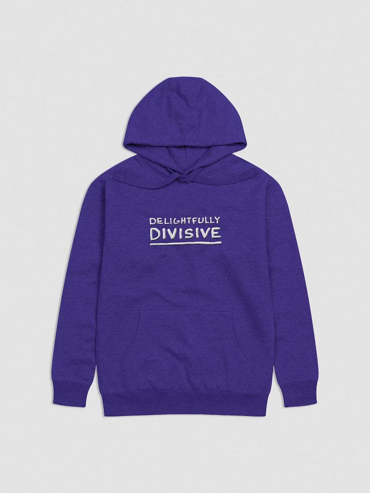 DELIGHTFULLY DIVISIVE (lg., white design) embroidered heavyweight hoodie product image (26)