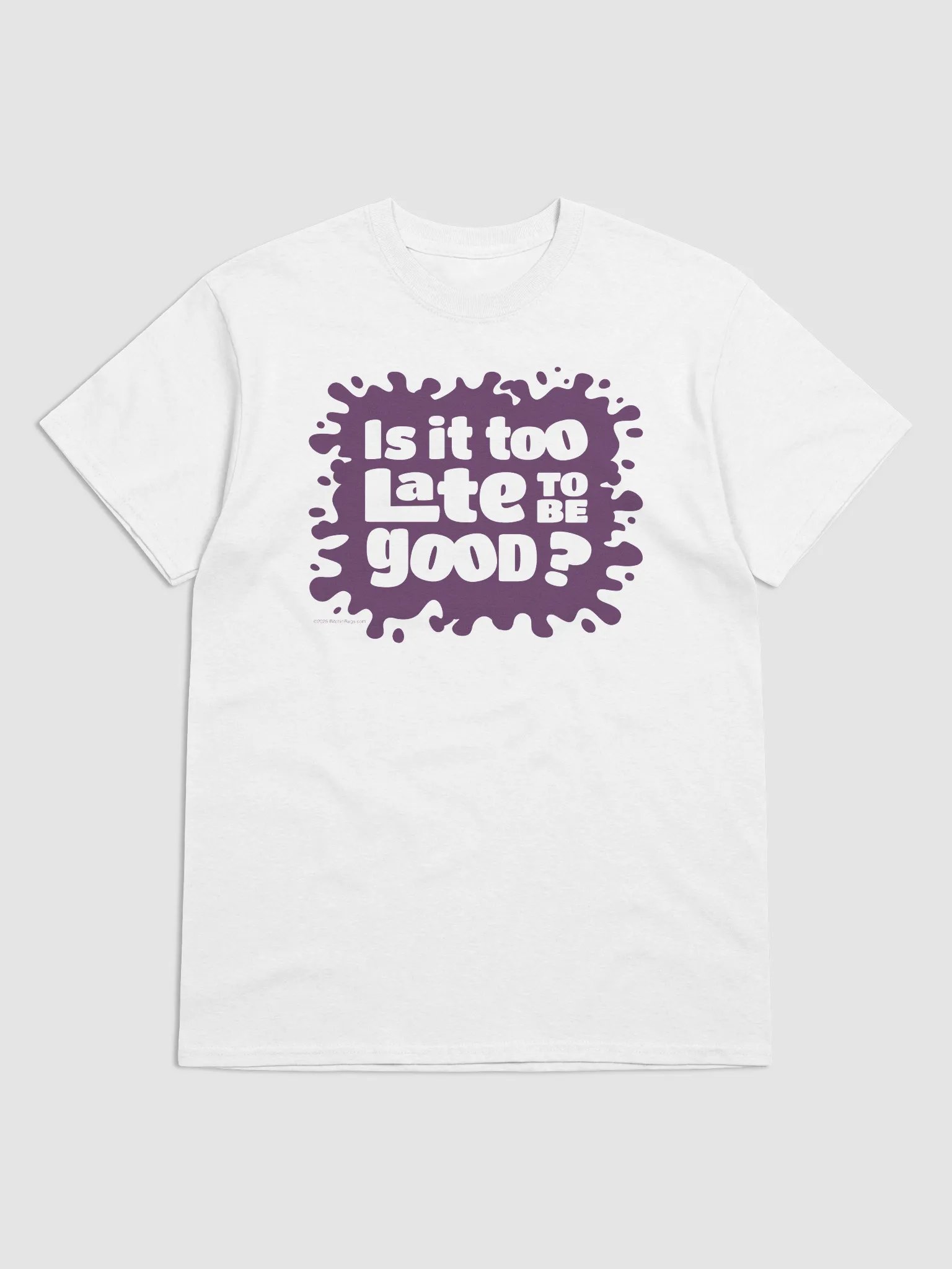 Is it too late to be good v1 product image (3)