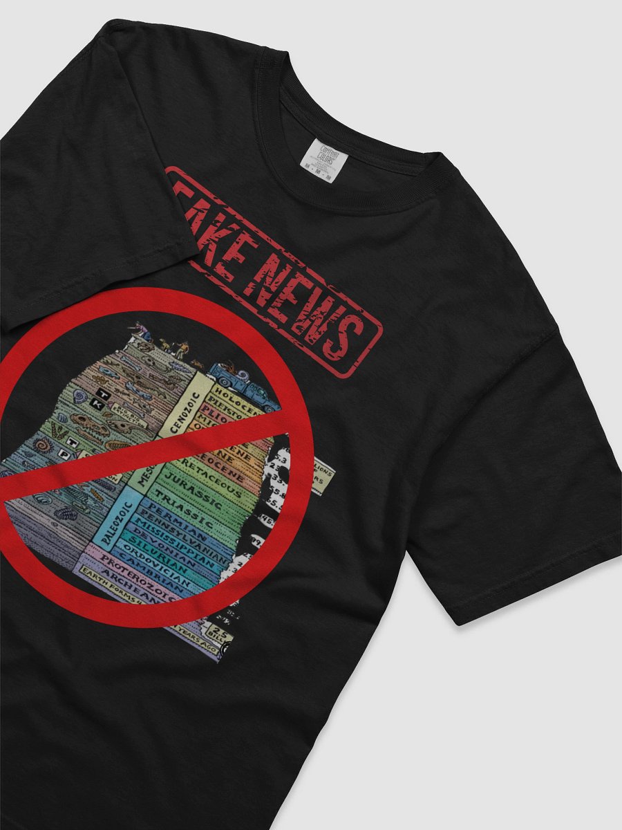 FAKE NEWS product image (9)