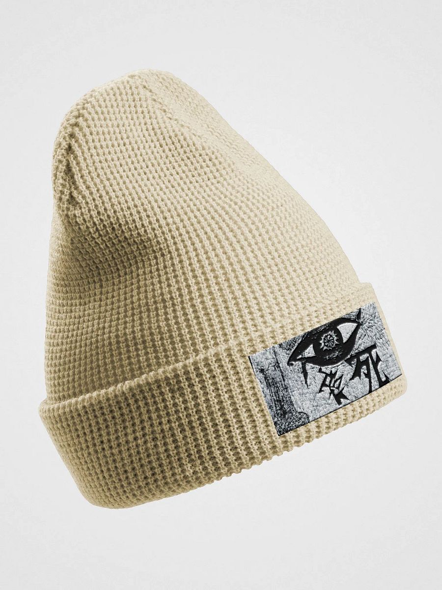 death without reason beanie product image (13)