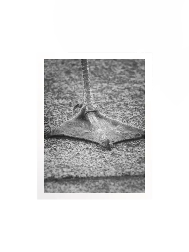 Artistic Print product image (1)