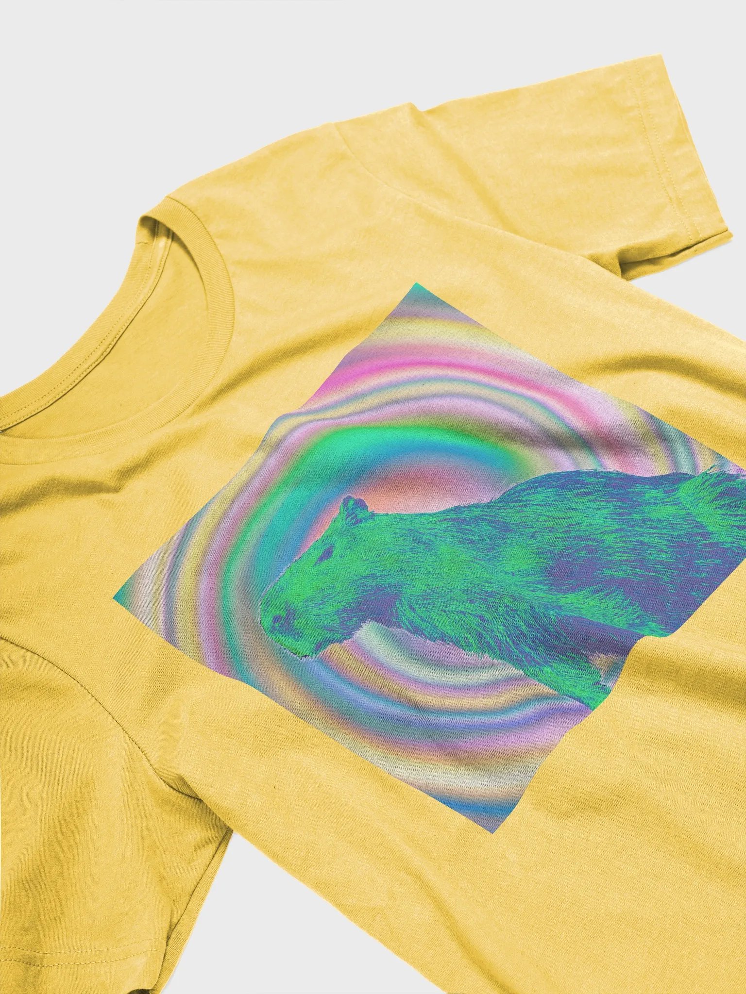 Dreamy Capybara T-shirt product image (8)