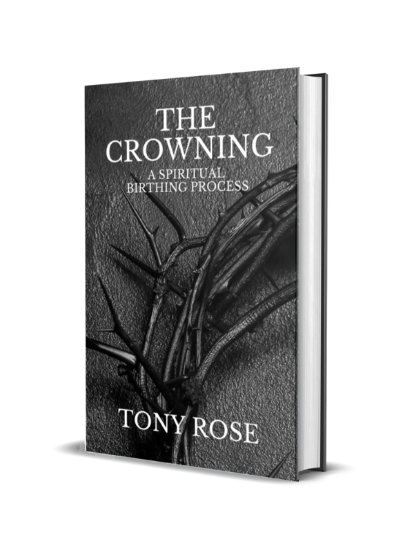 The Crowning: Your Spiritual Birthing Process product image (1)