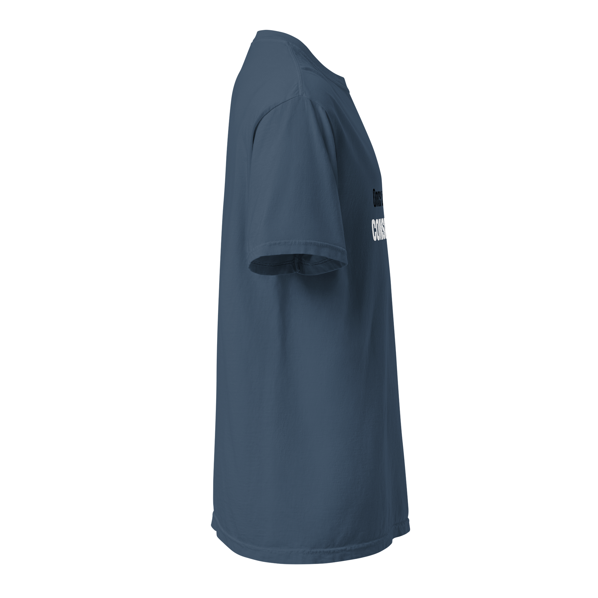 SA Conspiracy Heavyweight Tee product image (4)