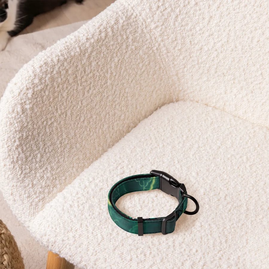 Hellacious Dog Collar product image (5)