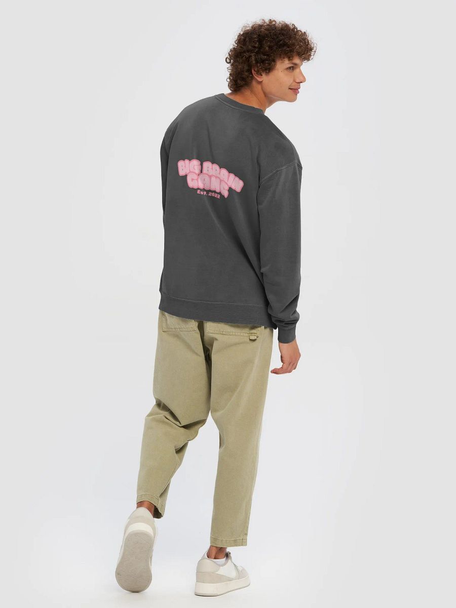 Brian Howdy / Big Brain Gang Crewneck product image (49)