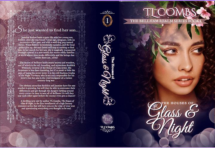 Signed Copy HB of The Houses of Glass & Night product image (2)