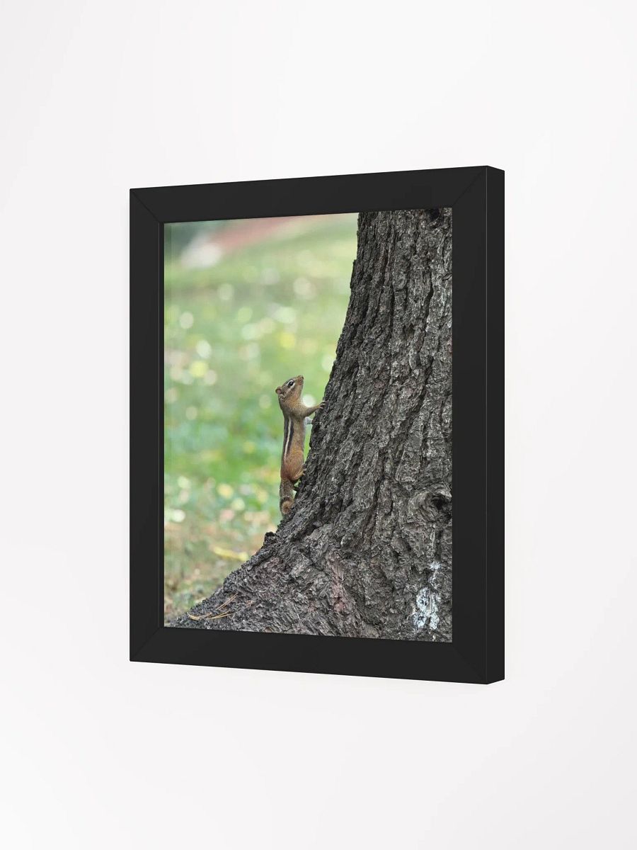 Squirrel print product image (11)
