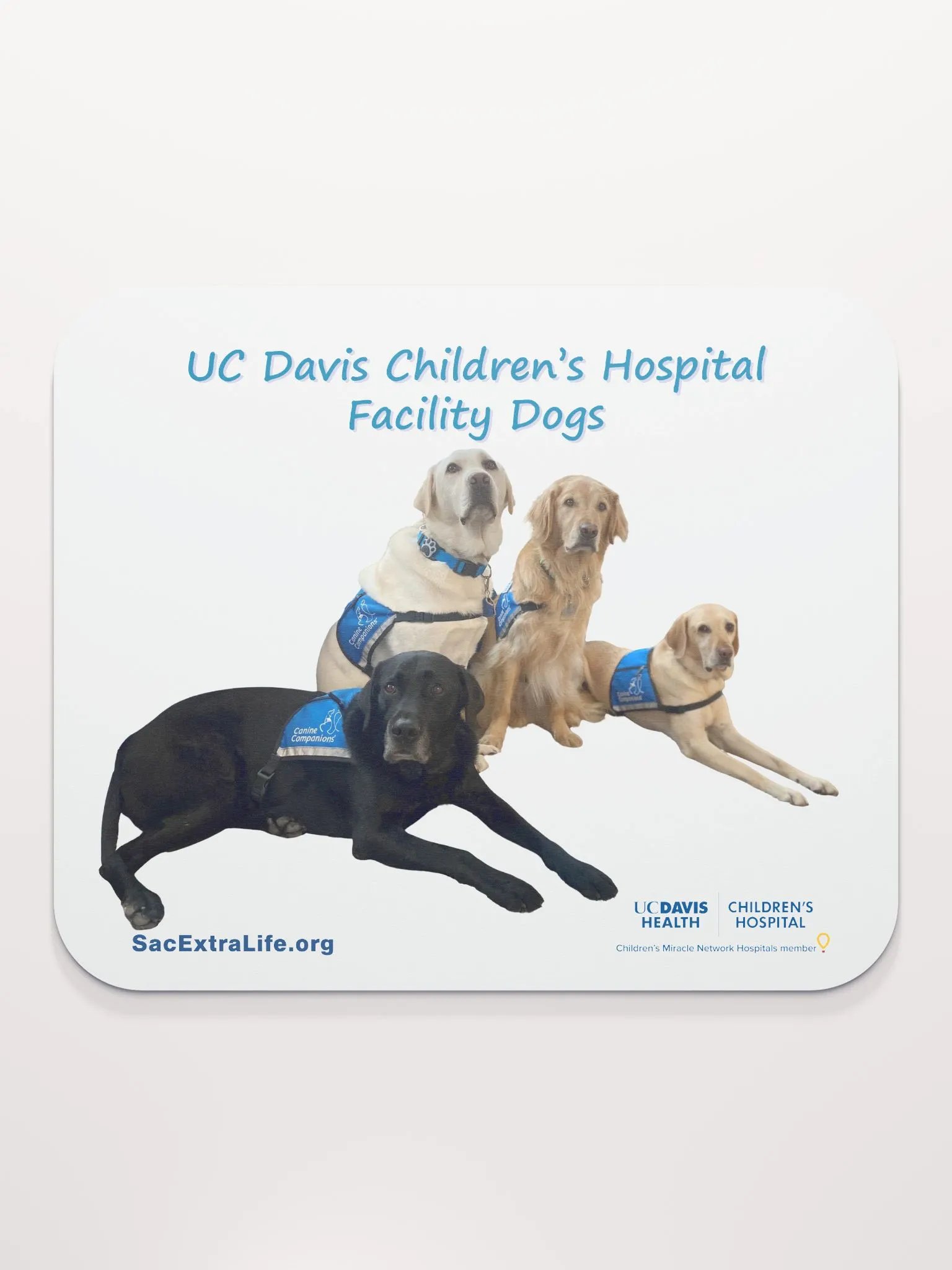 Facility Dogs Classic Mouse Pad product image (4)