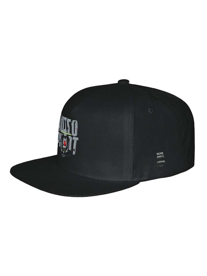 Living in Auto Pilot Snapback product image (2)