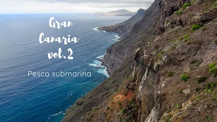 Gran Canaria Vol.2 pesca submarina product image (1)