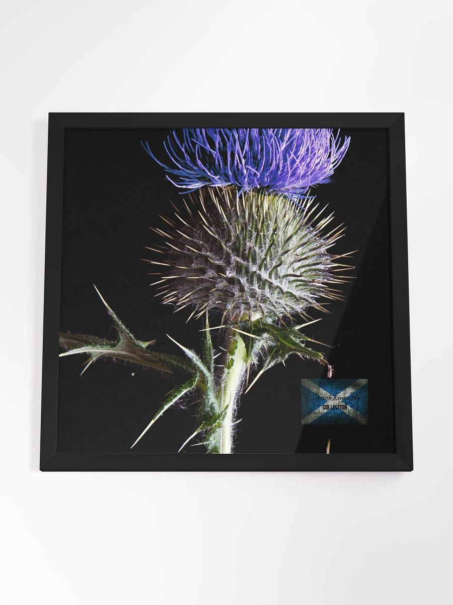 Scottish Romantics Framed Photo product image (4)