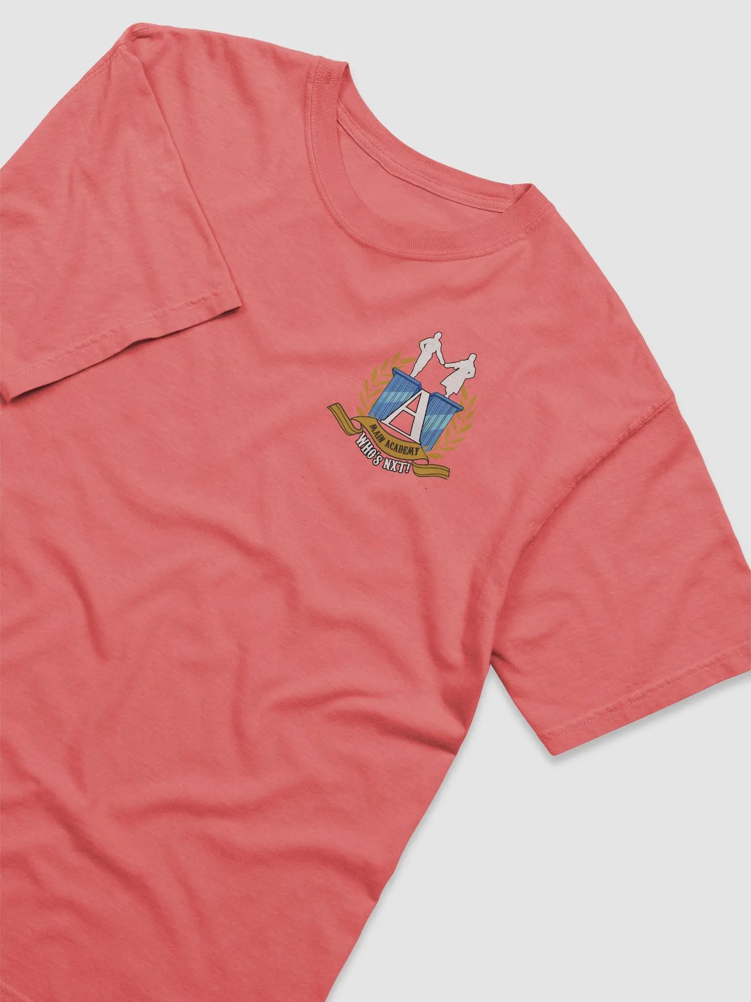 Main Academy Tee product image (3)