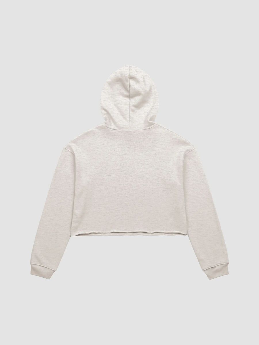 td 182 cropped hoodie product image (4)