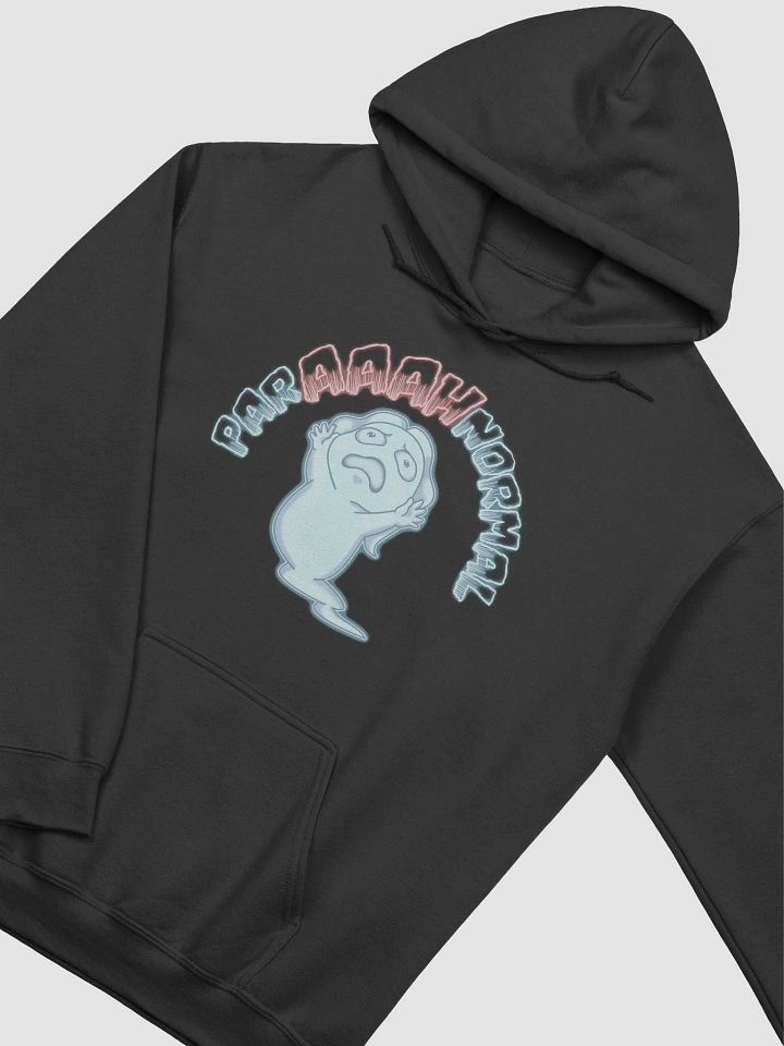 The ParAAAHnormal Hoodie product image (9)