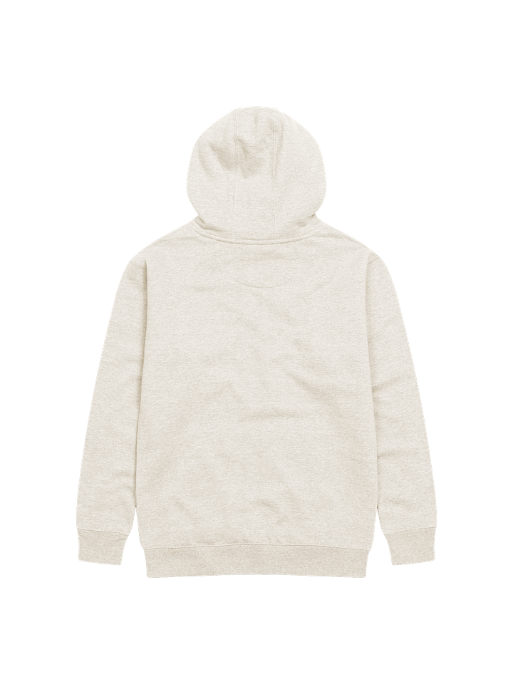 Set Your Mind on Things Above Unisex Hoodie product image (18)