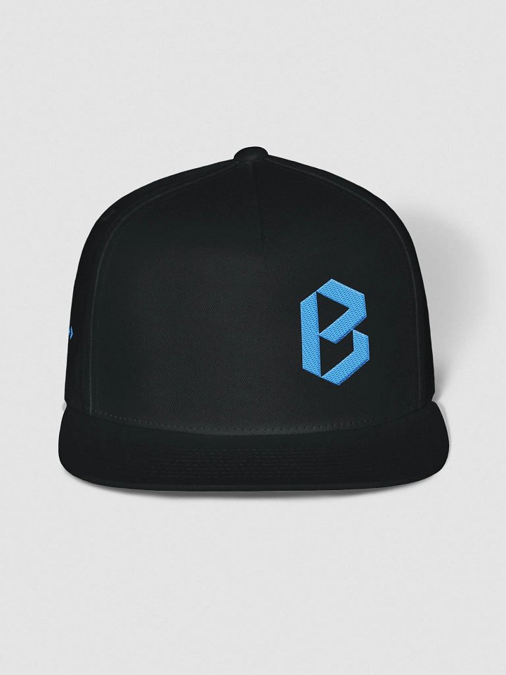 Brizza SnapBack product image (5)
