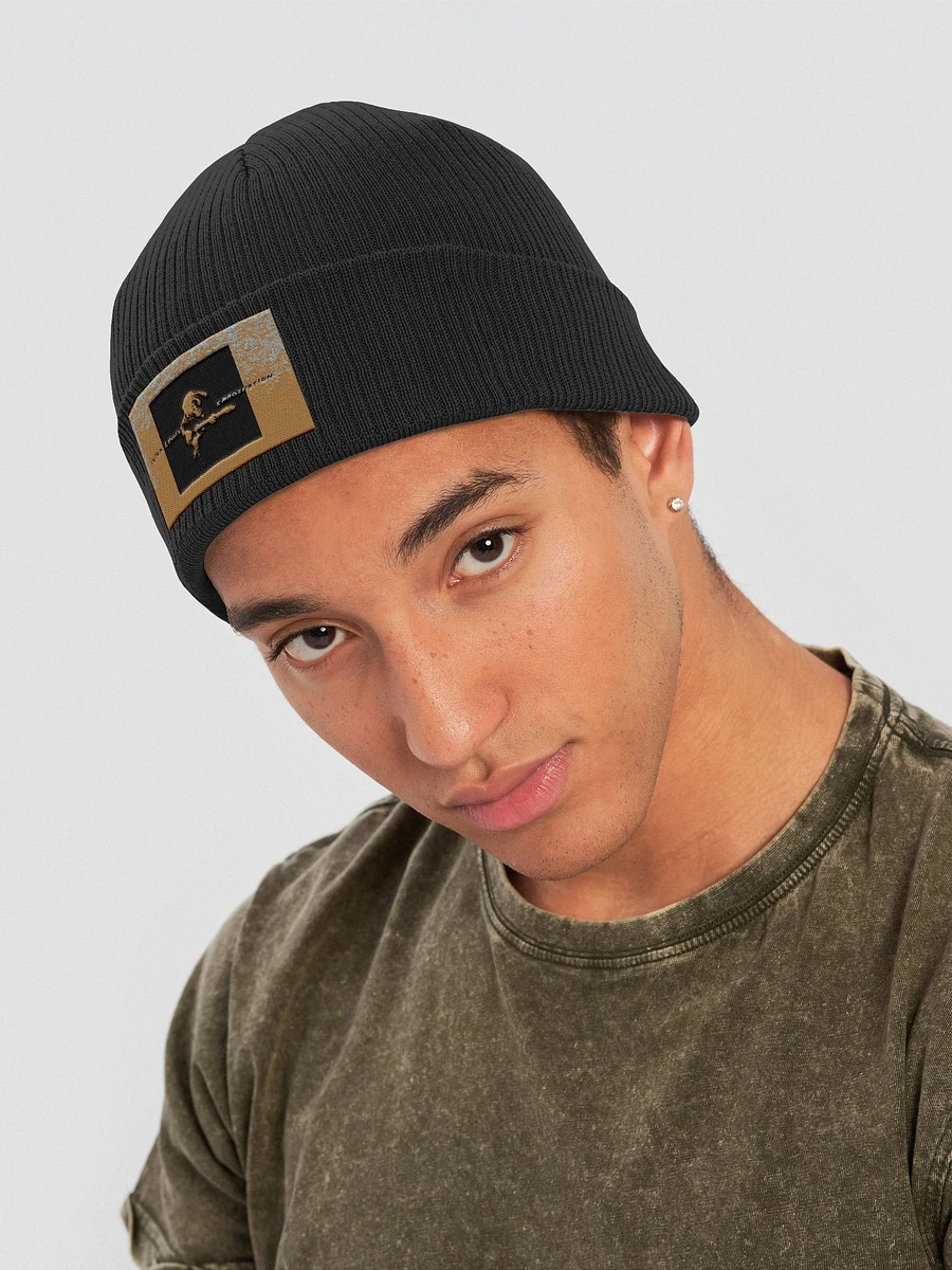 Peter Lewis - Imagination Embroidered Organic Ribbed Beanie product image (4)