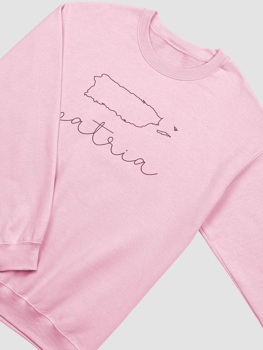 Patria Pink Sweatshirt product image (2)