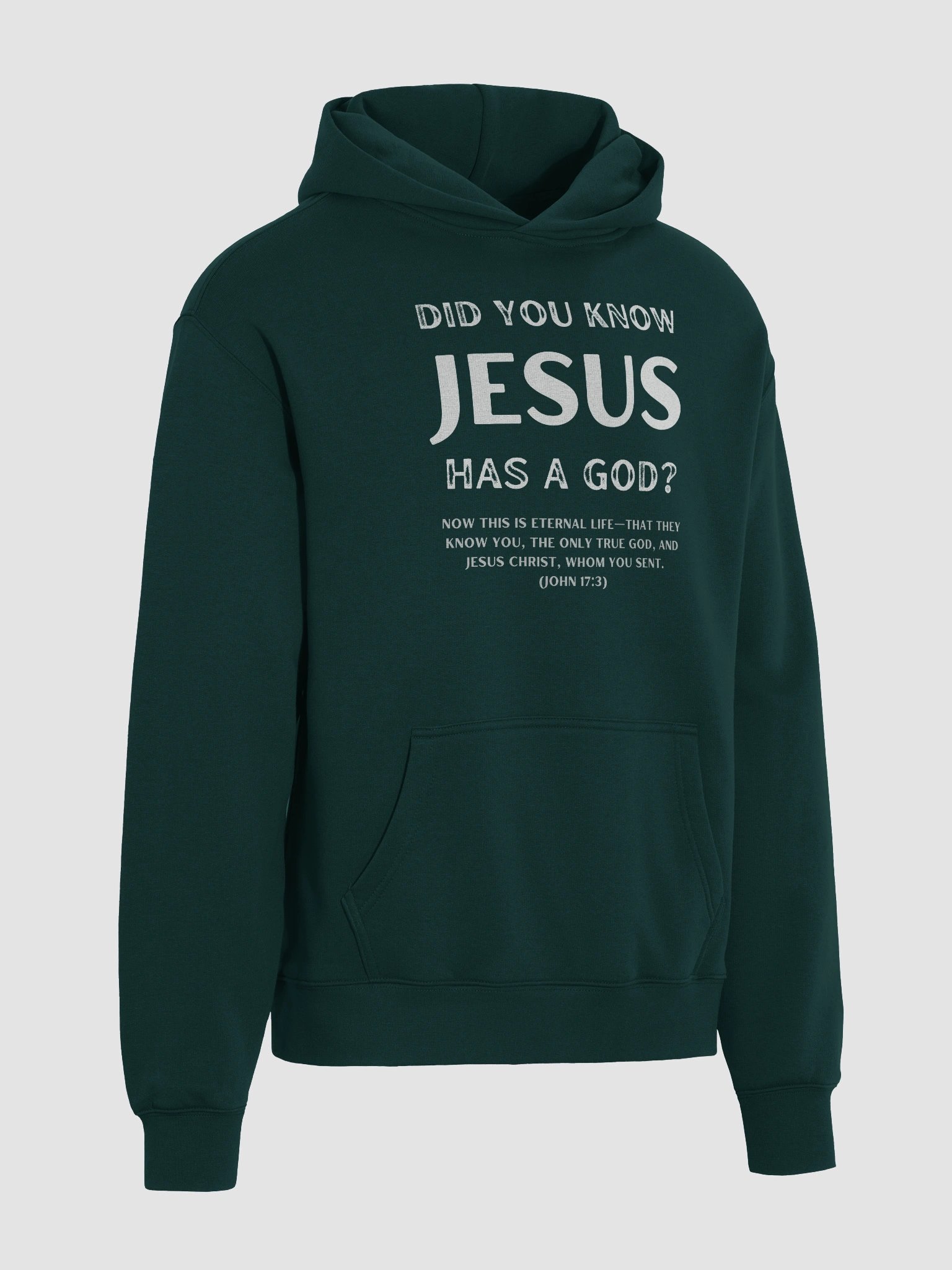 Jesus Has a God Premium Oversized Hoodie product image (12)