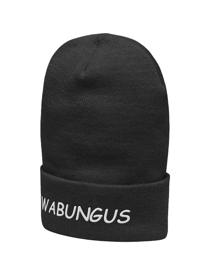 wabungus beanie product image (2)