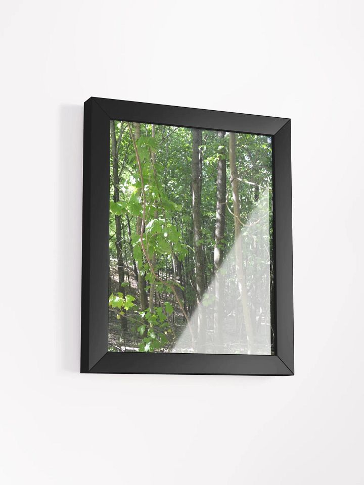 Forest High Quality Matte Poster product image (2)